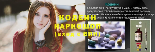 сатива Балахна