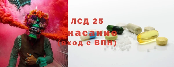 сатива Балахна