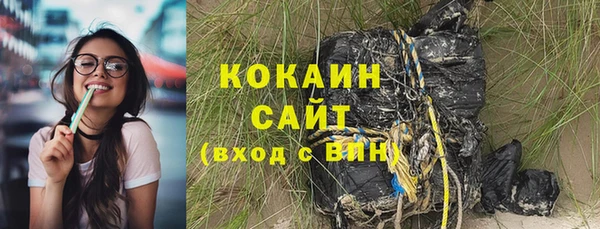 сатива Балахна
