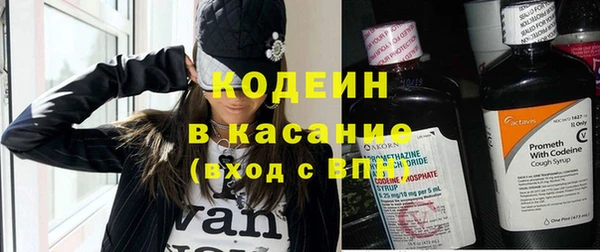 сатива Балахна