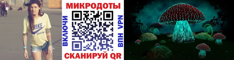 ОМГ ОМГ ТОР  Коммунар  Псилоцибиновые грибы Psilocybine cubensis 